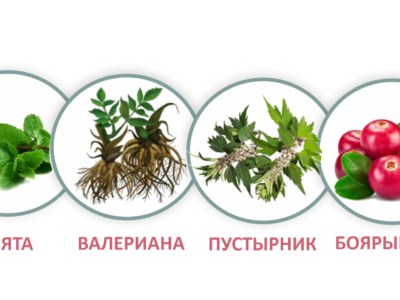 4 компоненти
