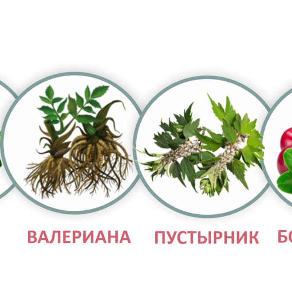 4 компоненти