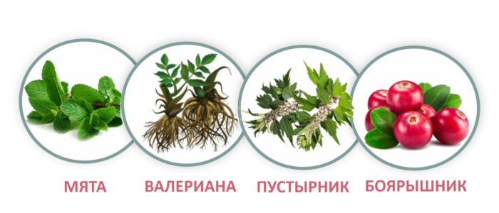 4 компоненти